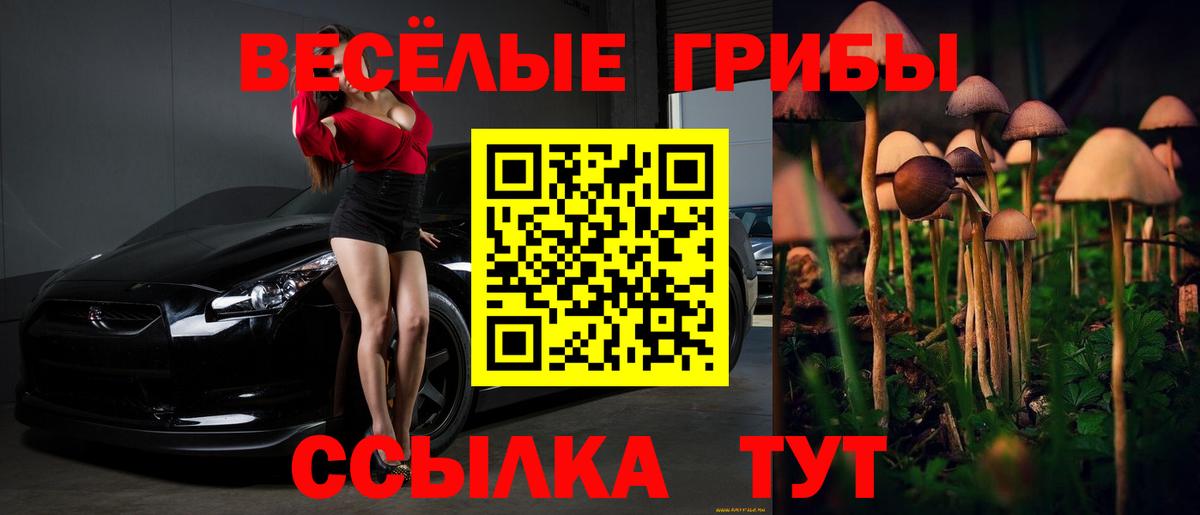Галлюциногенные грибы мицелий Новосибирск