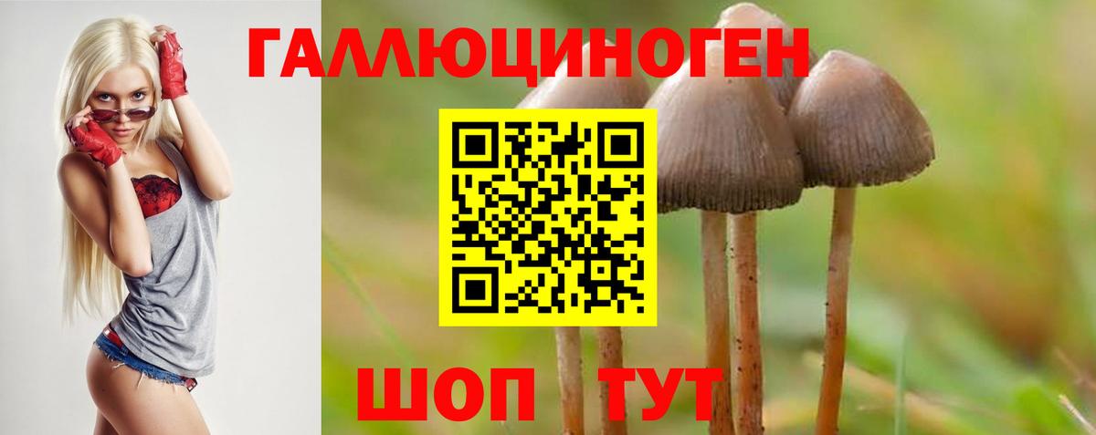 Галлюциногенные грибы прущие грибы  Вход с VPN  Новосибирск 