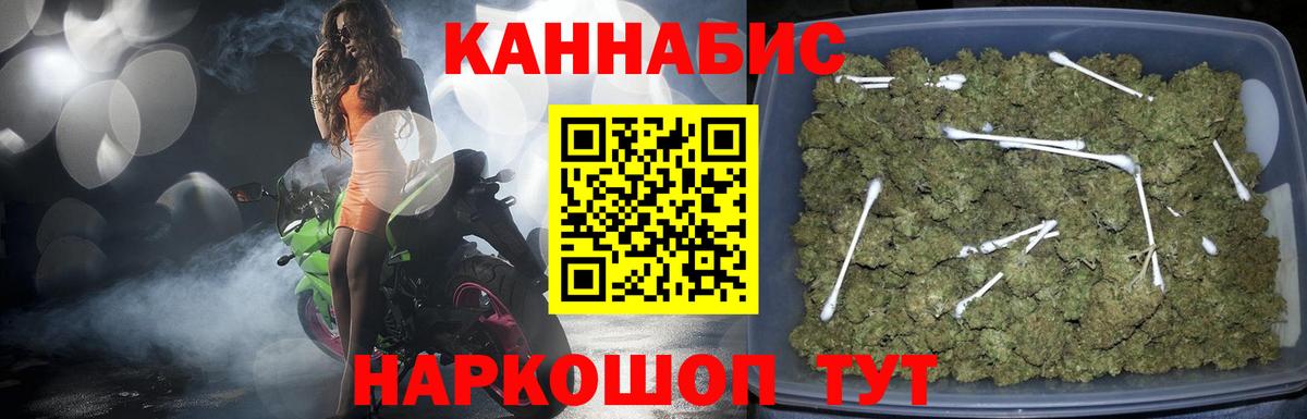 Канабис OG Kush Новосибирск